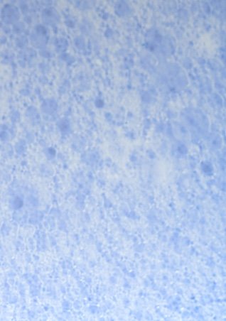 https://www.larocheposay.it/-/media/project/loreal/brand-sites/lrp/emea/it/oncology/during-hairloss/lrp-oncology-2021-sitecore-during-during_hair_loss-flipcard6.jpg