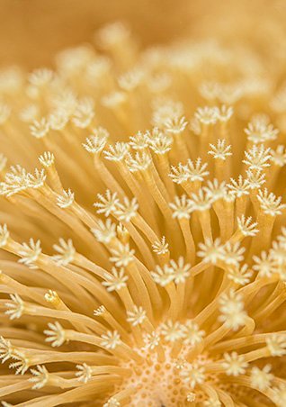 https://www.larocheposay.it/-/media/project/loreal/brand-sites/lrp/emea/it/simple-page/landing-page/marine-life/anthelios-marine-life-landing-page/larocheposay-anthelios-marine-life-landing-page-salt-water.jpg